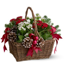 Christmas Garden Basket plant