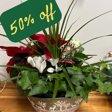 Christmas Garden mix plants in Abbotsford, BC | BUCKETS FRESH FLOWER MARKET INC.