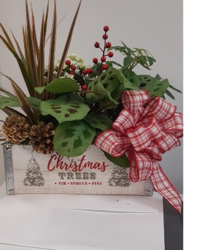 Christmas Green Dish Garden