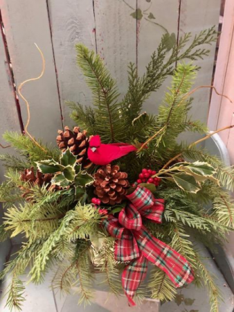 Christmas Greens Arrangement Pine Greens