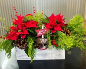 Christmas Greens Blooming Box  Custom Designers Choice