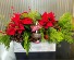 Christmas Greens Blooming Box  Custom Designers Choice