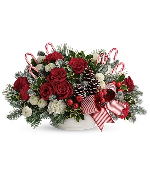Christmas Greetings 