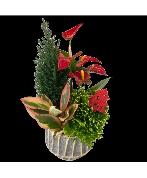 Christmas Grey Gold Planter 