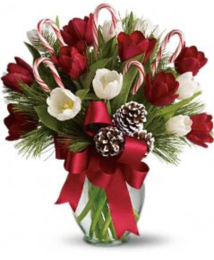 CHRISTMAS HOLIDAY TULIP Bouquet