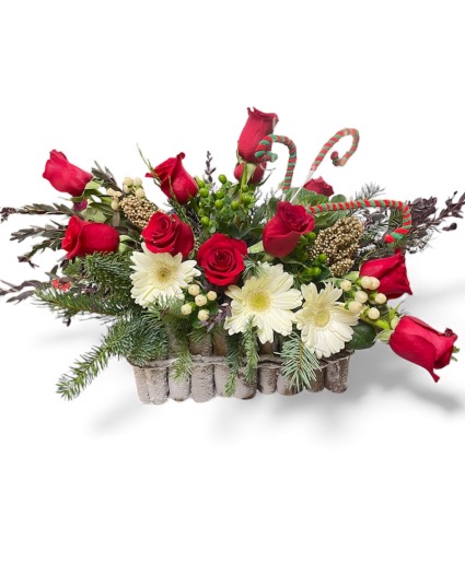 Christmas Holy Hug Holiday