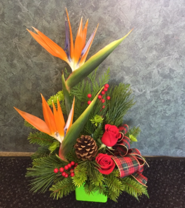 Christmas in Paradise Dish Arrangement