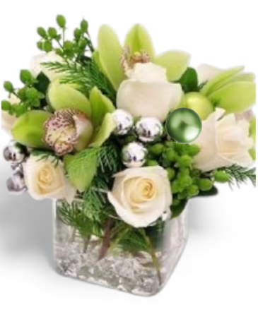 Christmas in the Caribbean   in Columbia, MD | The Blooming Bohemian