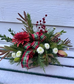 Christmas in the Hills  