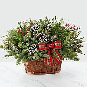 Christmas Joy