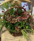 CHRISTMAS JOY BASKET MEDIUM BASKET WITH LIVE GREENS