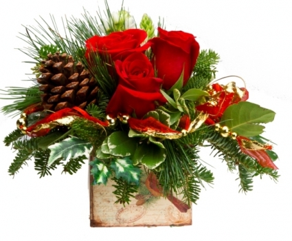 Christmas Cardinal Christmas 