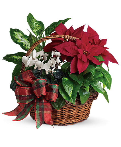 CHRISTMAS LAST THE SEASON Basket