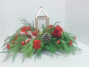Christmas Light Shining in Tottenham, ON | TOTTENHAM FLOWERS & GIFTS Christmas Light Shining in Tottenham, ON | TOTTENHAM FLOWERS & GIFTS