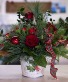 Christmas Luster Christmas arrangement