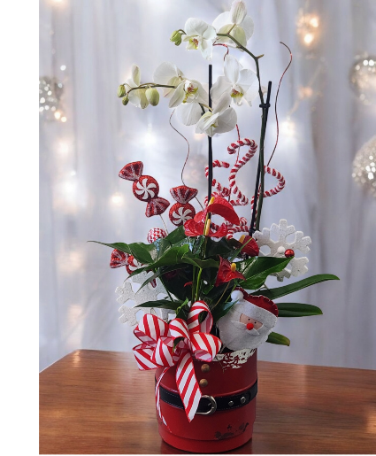 Christmas Orchid Garden Fairy Tales Flowers Exclusive 