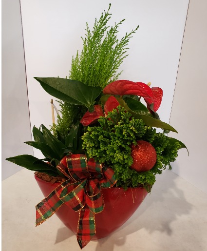 Christmas Oval Planter Plants