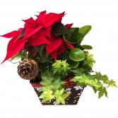 Christmas Palnter Planter 