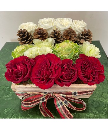 Christmas Pave' Design Wooden Box in Northport, NY | Hengstenberg's Florist