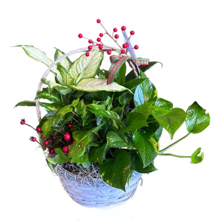 Christmas Plant Basket 