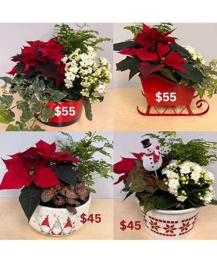 Christmas Planter 2023