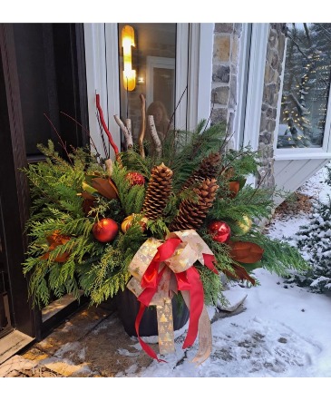 Christmas Planter  in Lakefield, ON | LAKEFIELD FLOWERS & GIFTS