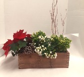 Christmas Planter 