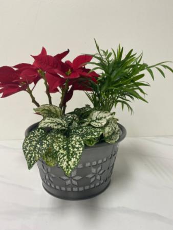 Christmas planter  Planter