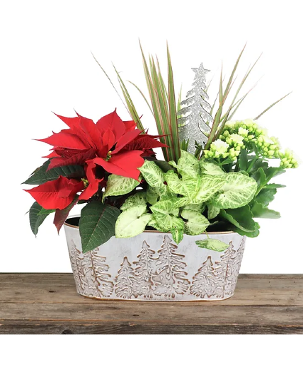 Christmas Planter - White and Gold Metal 