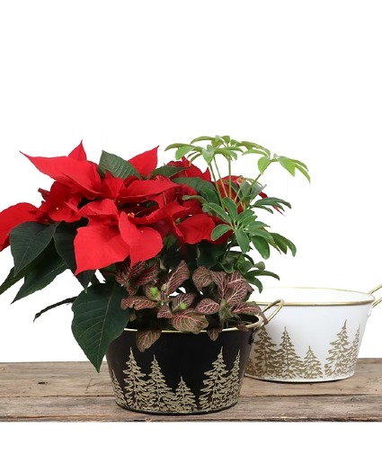 Christmas Planters Gold Trees 7