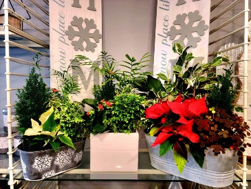 Christmas planters planter in Windsor, ON | K. MICHAEL'S FLOWERS & GIFTS
