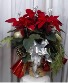 Christmas Poinsettia Plant