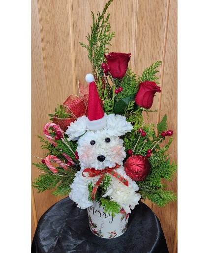 Christmas Pup  Carantion Puppy & Roses a