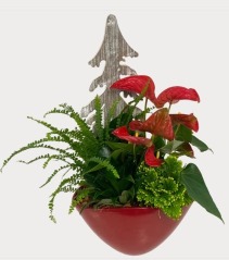 Christmas Red Anthurium Planter 