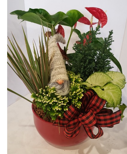 Christmas Red Ceramic Bowl Plants