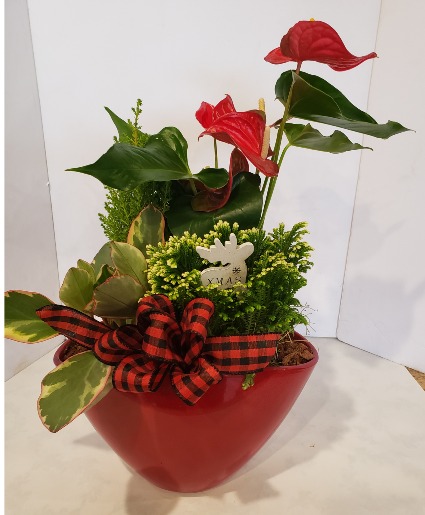 Christmas Red Oval Planter Plants