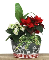 Christmas Red Stripe Band Deer Planter Christmas Planter