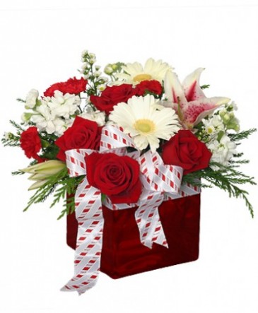 CHRISTMAS RIBBON & ROSES Bouquet in Cincinnati, OH | Reading Floral Boutique
