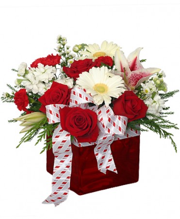 CHRISTMAS RIBBON & ROSES Bouquet in Browns Mills, NJ - WALKER'S FLORIST &  GIFTS