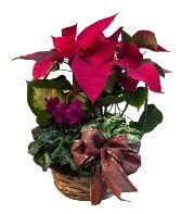 Christmas Sentiments Basket A Davis Floral Design