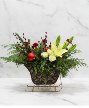 Christmas Sled Fresh Christmas 