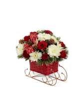 Christmas Sleigh Ride  Available 12/06