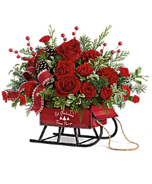 Christmas Sleigh, too 