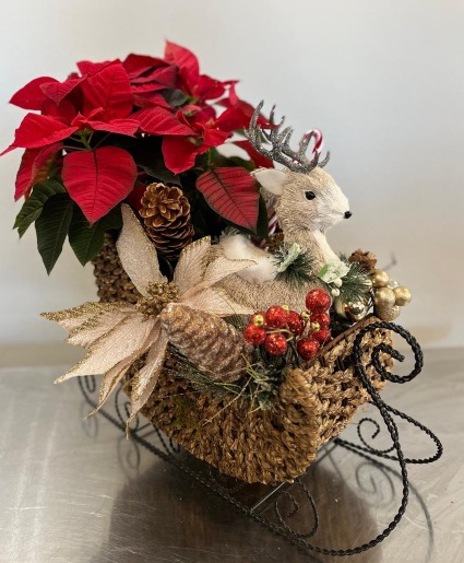 Christmas Sleigh with Poinsettia custom