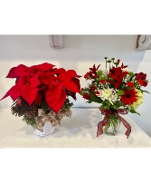 Christmas Special Christmas Plant and Arrangement