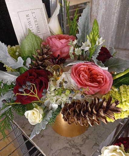 Christmas Special Designer's Choice