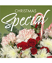 Christmas Special Designer's Choice