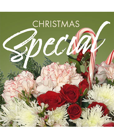 Christmas Special Designer's Choice in Delphi, IN | The Flower Shoppe II