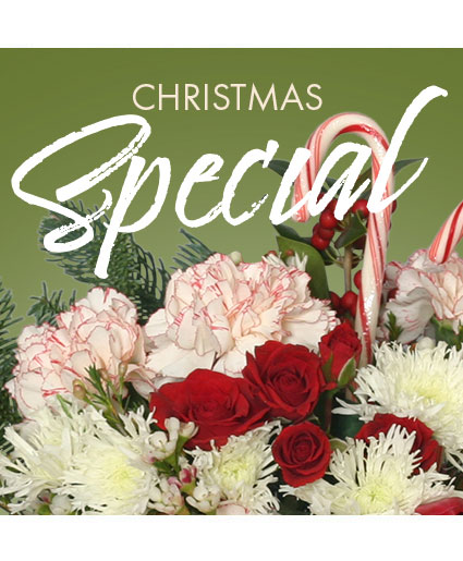 Christmas Special Designer's Choice in Frisco, TX - PATTI ANN'S FLOWERS