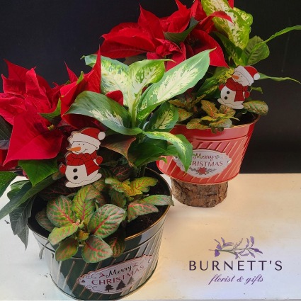 Christmas Tag Planter